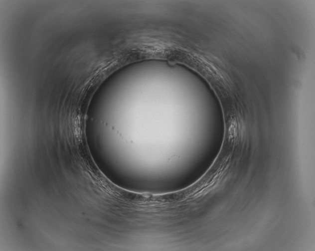 X0000111841156200907231402