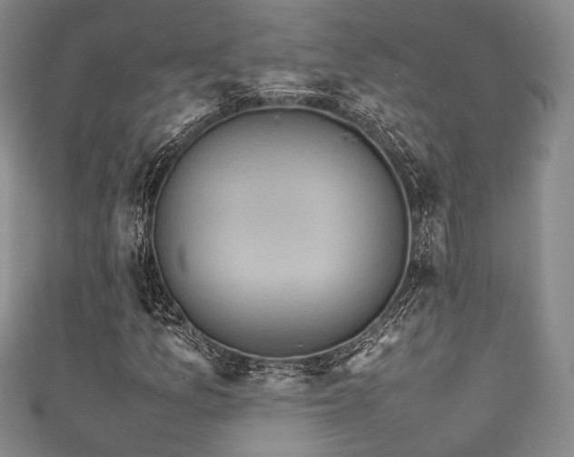 X0000111841157200907231402