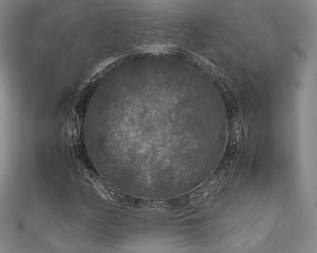 X0000111841158200907231402