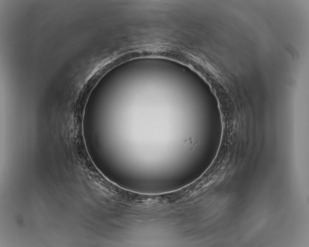X0000111841160200907231402