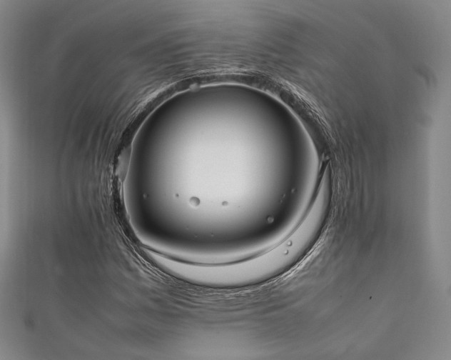 X0000111841161200907231402