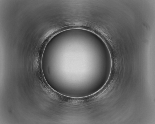 X0000111841163200907231402