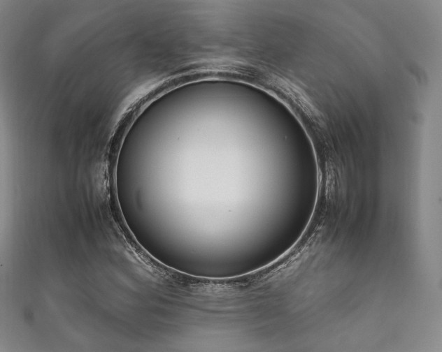 X0000111841164200907231402