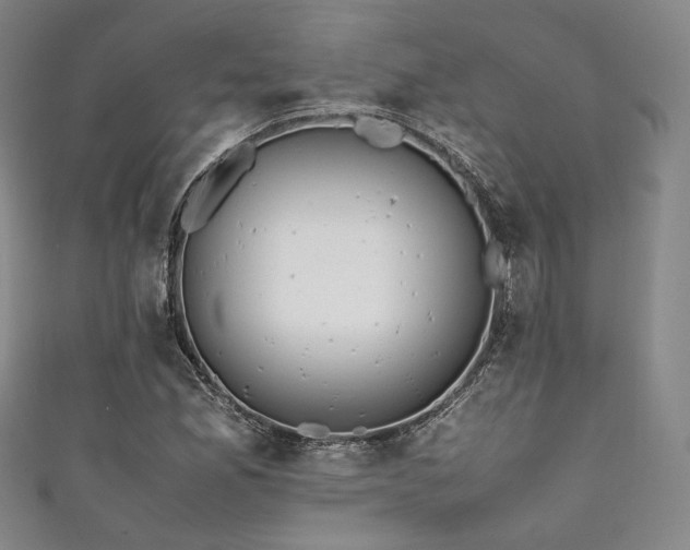 X0000111841165200907231402
