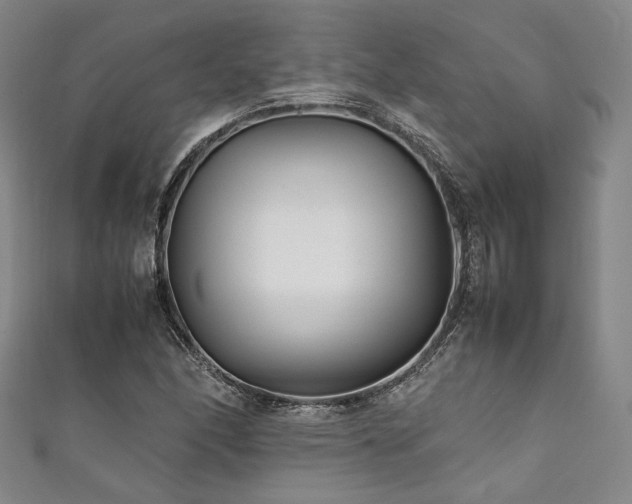 X0000111841166200907231402
