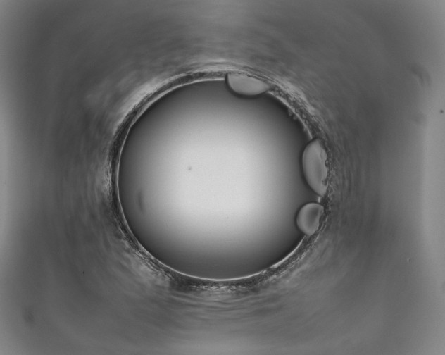 X0000111841167200907231402