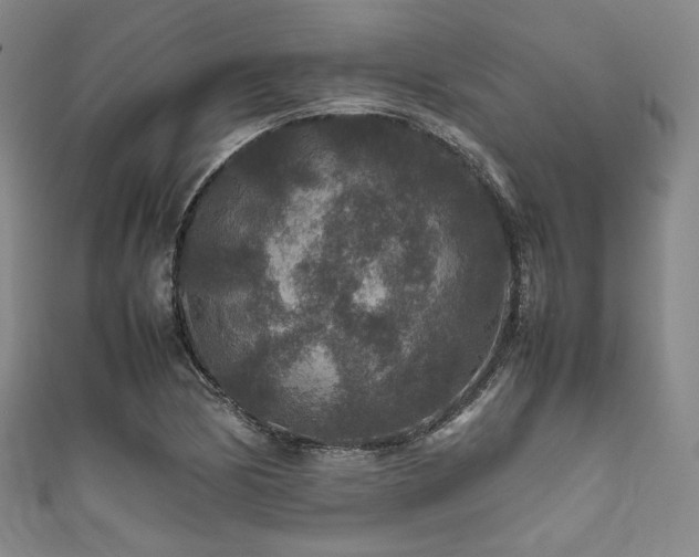 X0000111841170200907231402