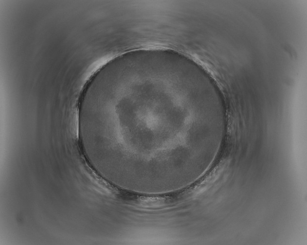 X0000111841171200907231402