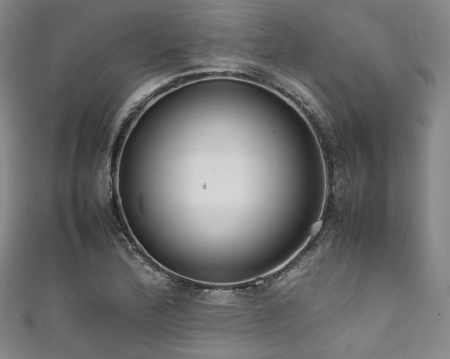 X0000111841172200907231402