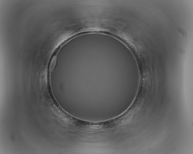 X0000111841173200907231402