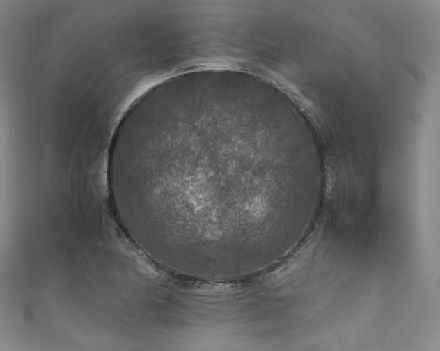 X0000111841174200907231402