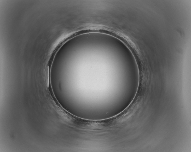 X0000111841175200907231402
