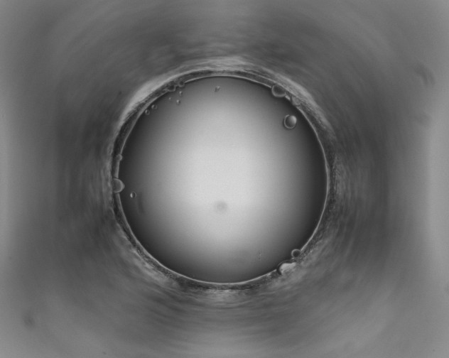 X0000111841176200907231402