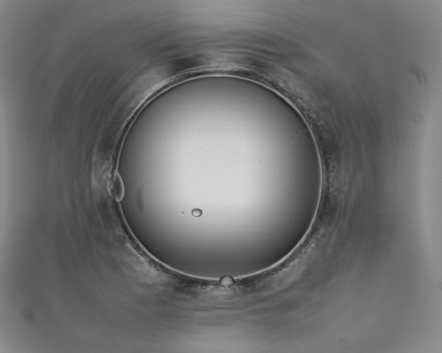 X0000111841177200907231402