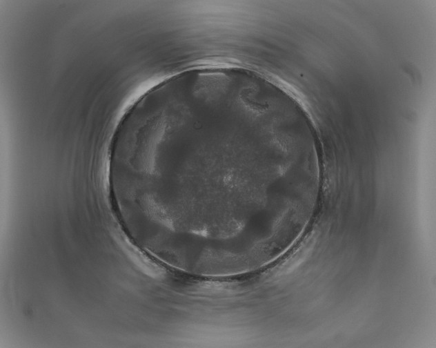 X0000111841179200907231402