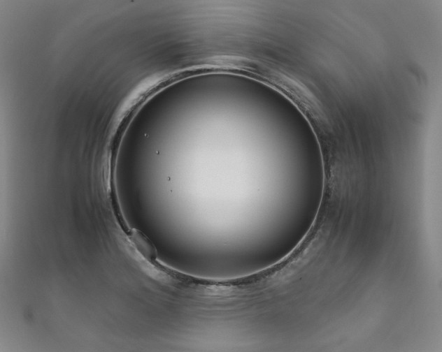 X0000111841180200907231402