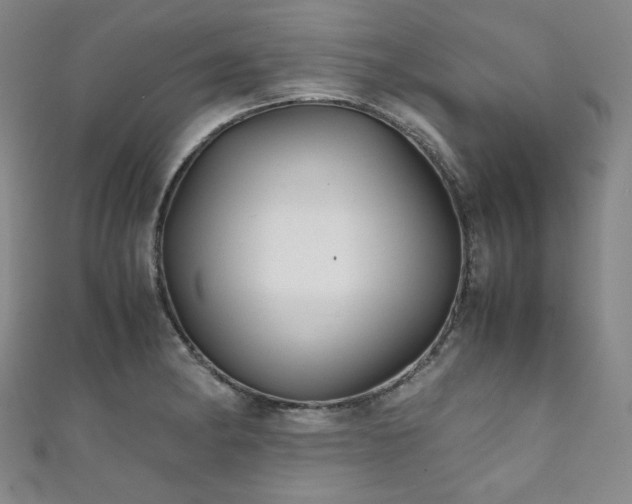 X0000111841182200907231402