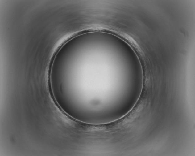 X0000111841183200907231401