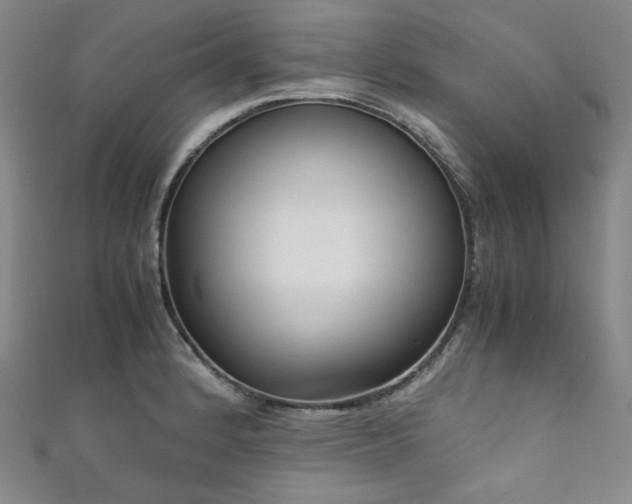 X0000111841184200907231401