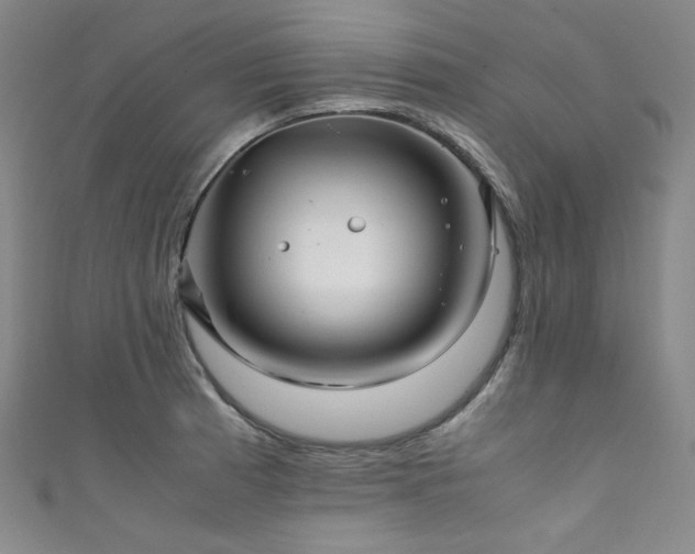 X0000111841185200907231401