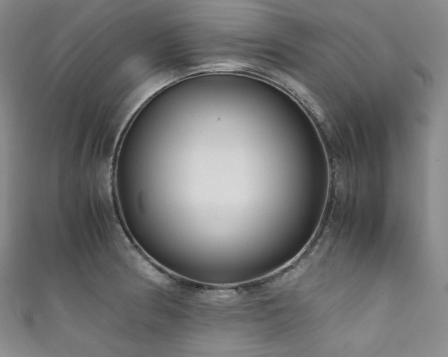 X0000111841186200907231401