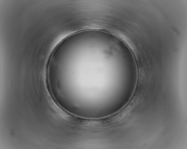 X0000111841187200907231401