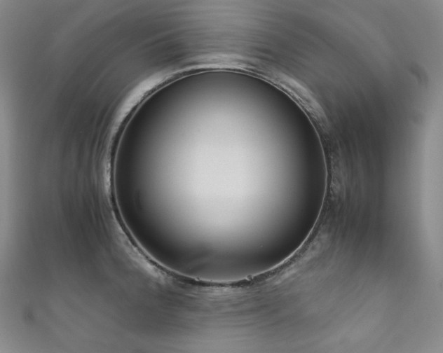 X0000111841188200907231401