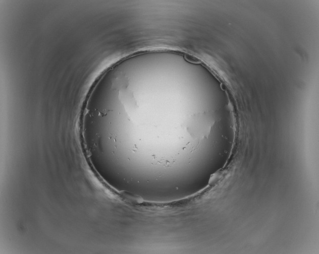 X0000111841189200907231401
