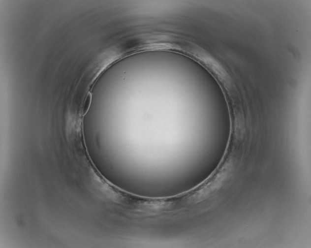 X0000111841193200907231401