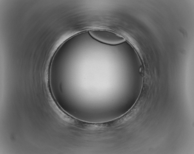 X0000111841195200907231401