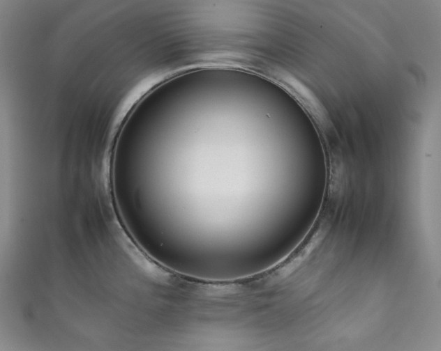 X0000111841196200907231401
