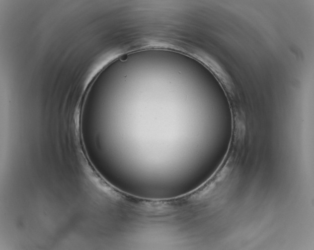 X0000111841198200907231401