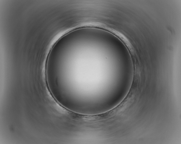 X0000111841199200907231401