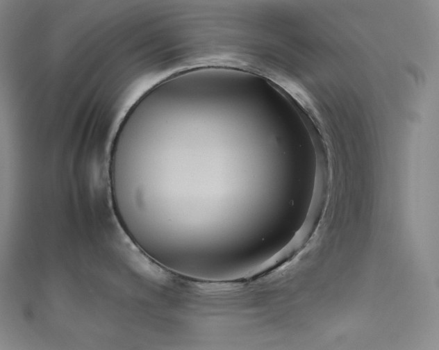 X0000111841200200907231401