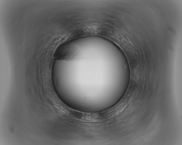 X0000111841201200907231401