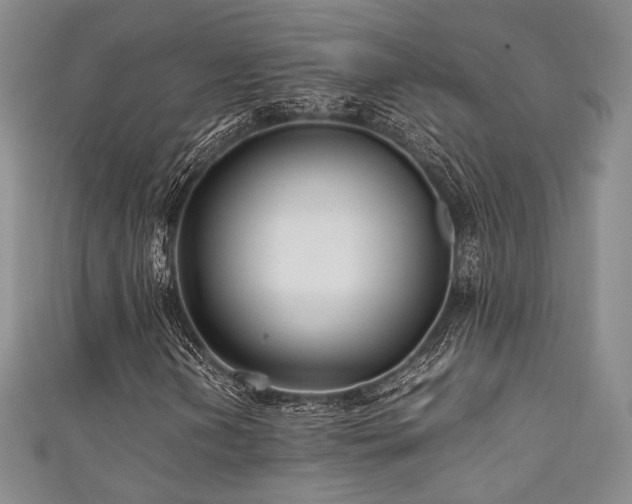 X0000111841202200907231401