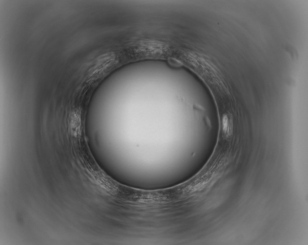 X0000111841203200907231401