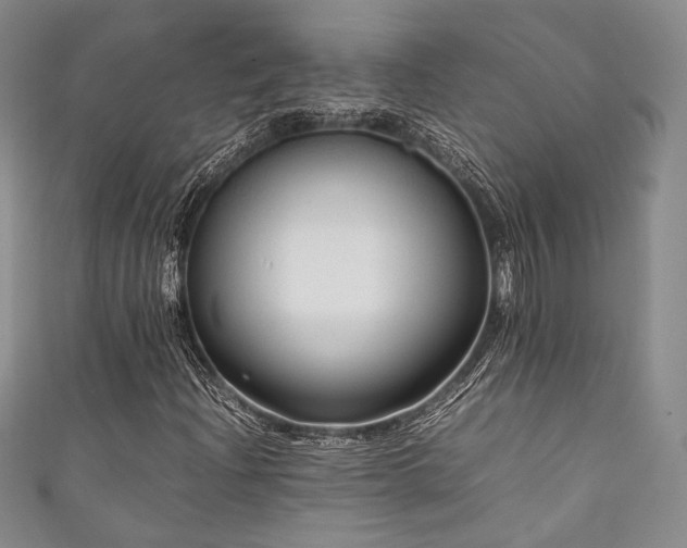 X0000111841204200907231401