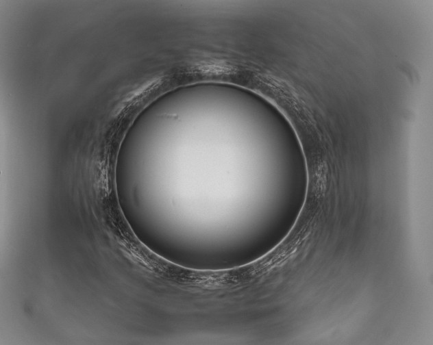 X0000111841205200907231401