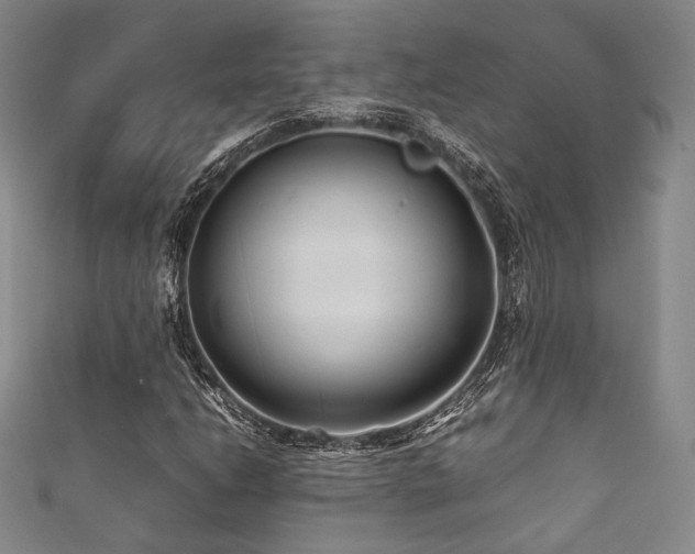 X0000111841206200907231401