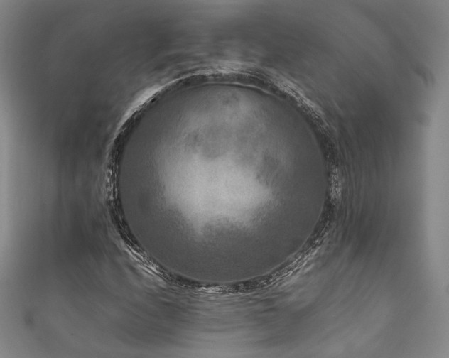 X0000111841208200907231401