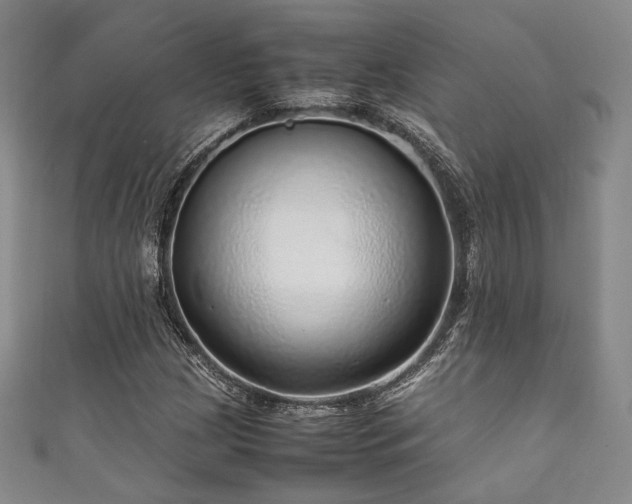 X0000111841209200907231401