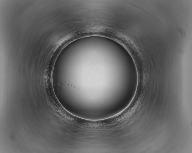 X0000111841210200907231401