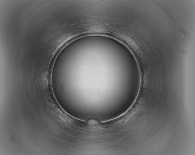 X0000111841212200907231401