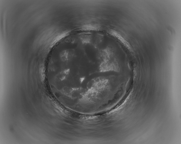 X0000111841213200907231401