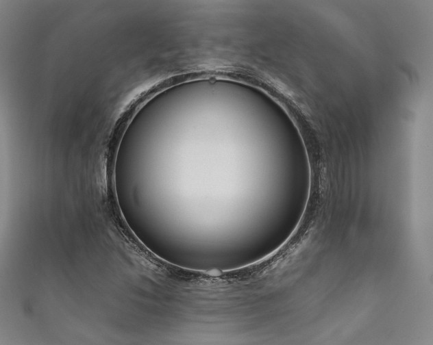 X0000111841214200907231401