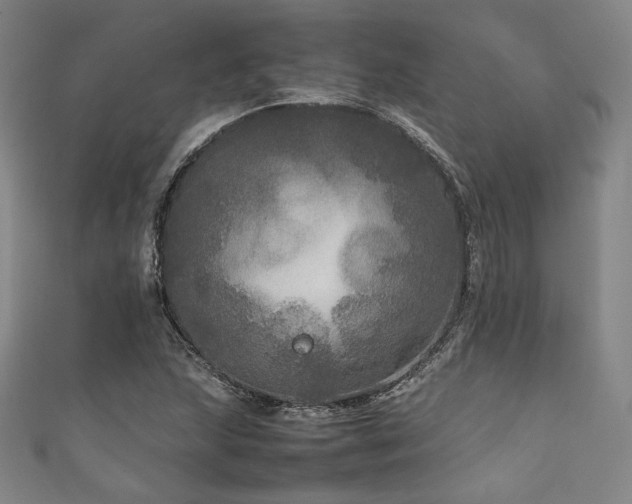 X0000111841215200907231401