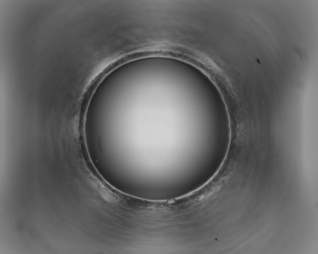 X0000111841216200907231401