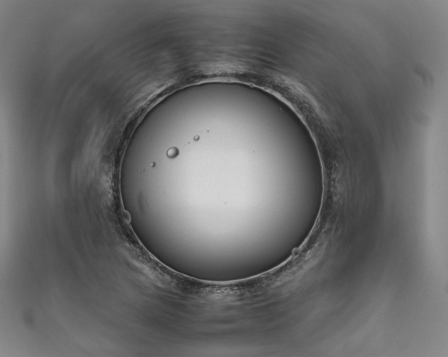 X0000111841217200907231401