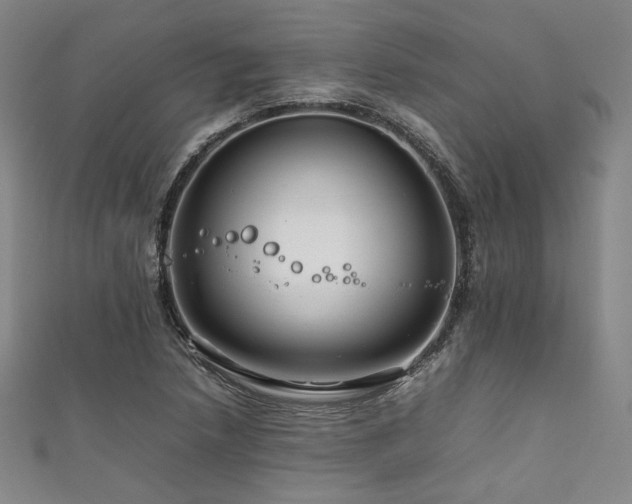 X0000111841218200907231401